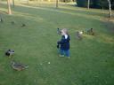 Alex chasing ducks